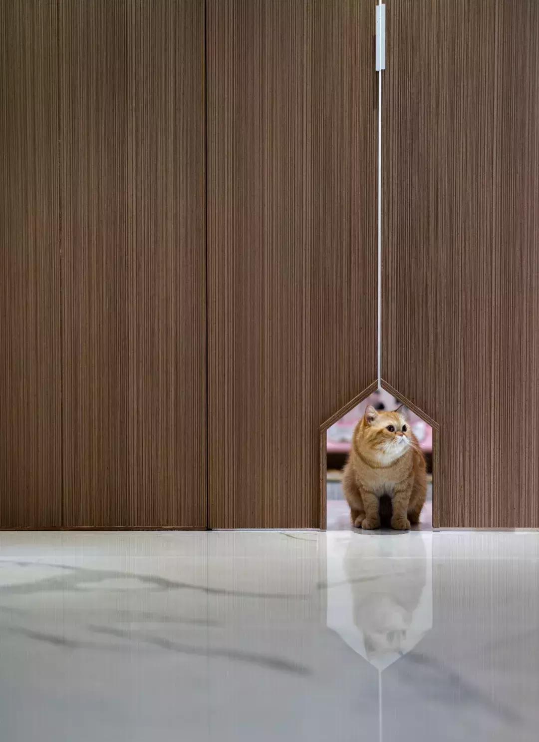 閾插睅瀹樺拰鐚挭鐨勫崸瀹よ璁″浘,閾插睅瀹樼粰鑷鐚挭璁捐鎴垮瓙