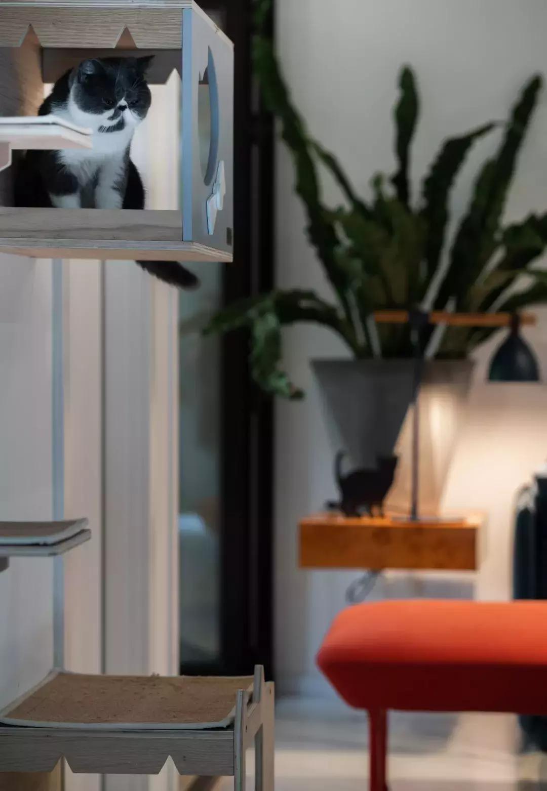 閾插睅瀹樺拰鐚挭鐨勫崸瀹よ璁″浘,閾插睅瀹樼粰鑷鐚挭璁捐鎴垮瓙