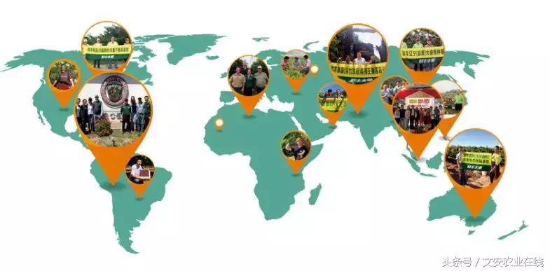 鲜丰水果创始人韩树人老家,鲜丰水果创始人韩树人哪里人