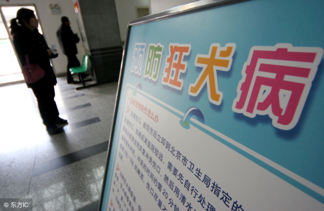 如果被狗咬伤后该如何防治狂犬病,如何判断被狗咬伤得狂犬病