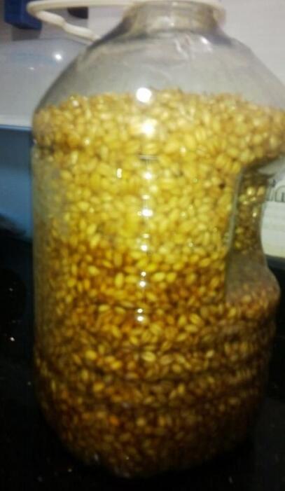 塑料管怎么绑串钩不缠绕绑法视频,串钩各种绑钩方法