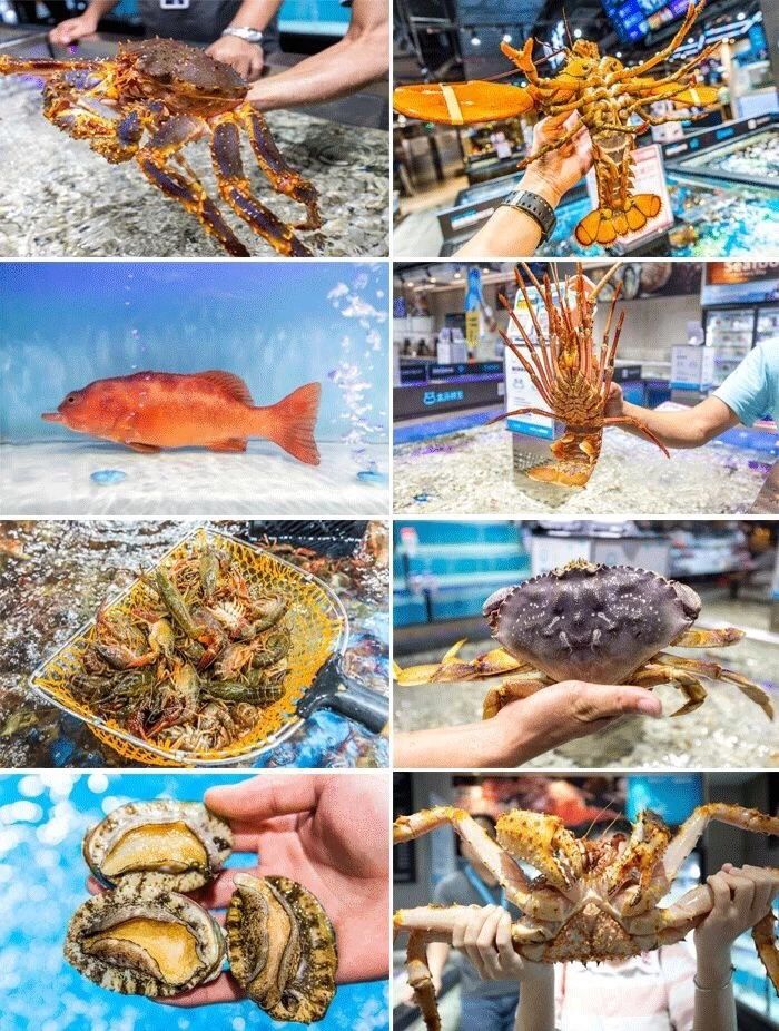 海口三家免税店哪家最好,海口三家店