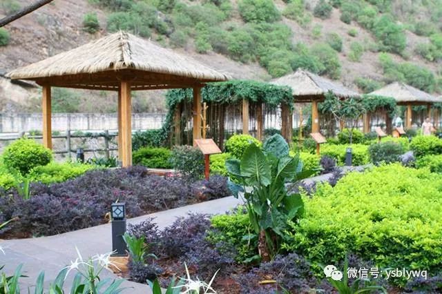 「藏在大山深处的野温泉」29.9元蜂抢云南原始部落野温泉度假村门票，寻觅这处“野”趣，享受原汤泉水的暖之惬意~