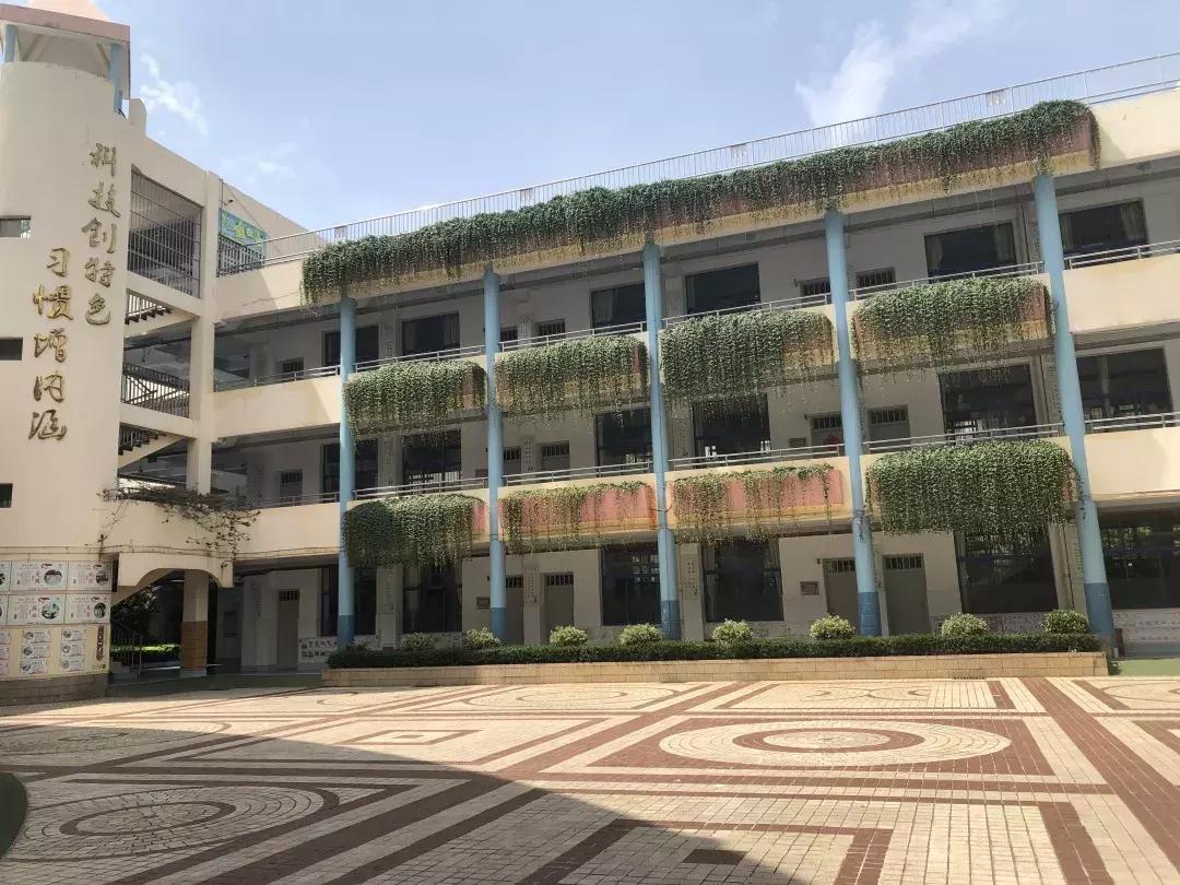 二百学子追梦七彩云南;金康园两校区再起征程