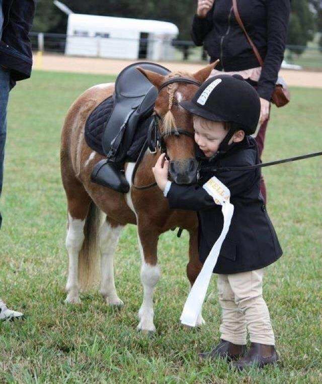 「竞赛通知」富国高银杯2018 FFE PONY挑战赛