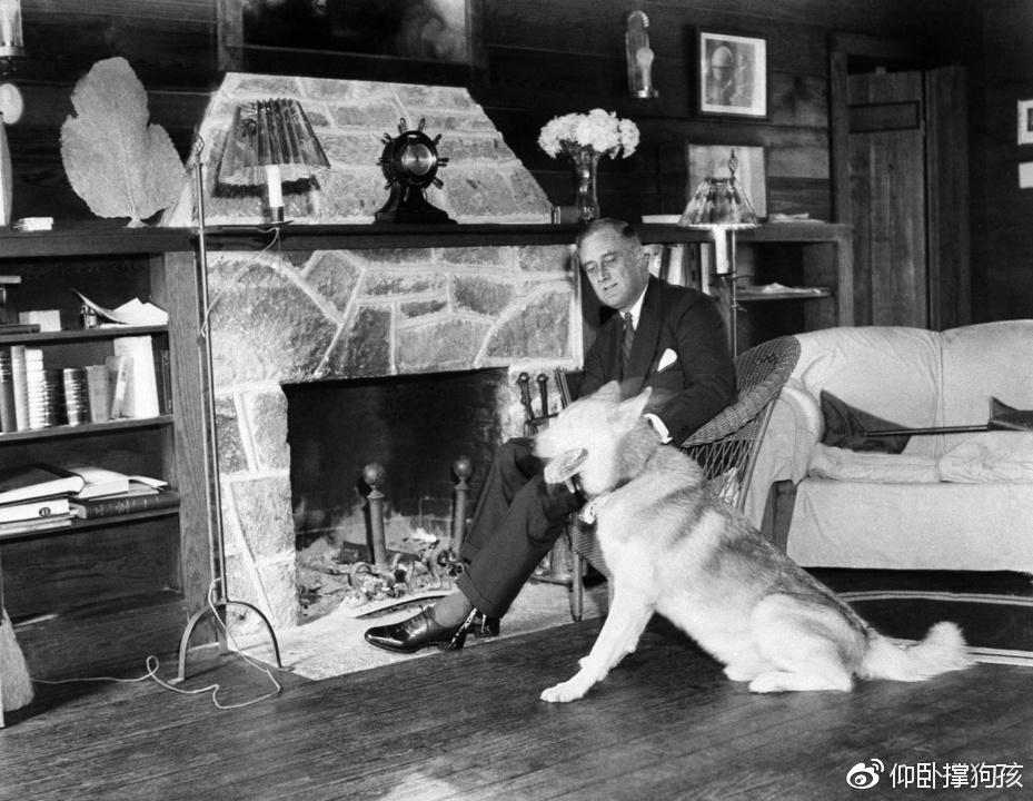 历史上三位总统没有养宠物,美国历史上46个总统