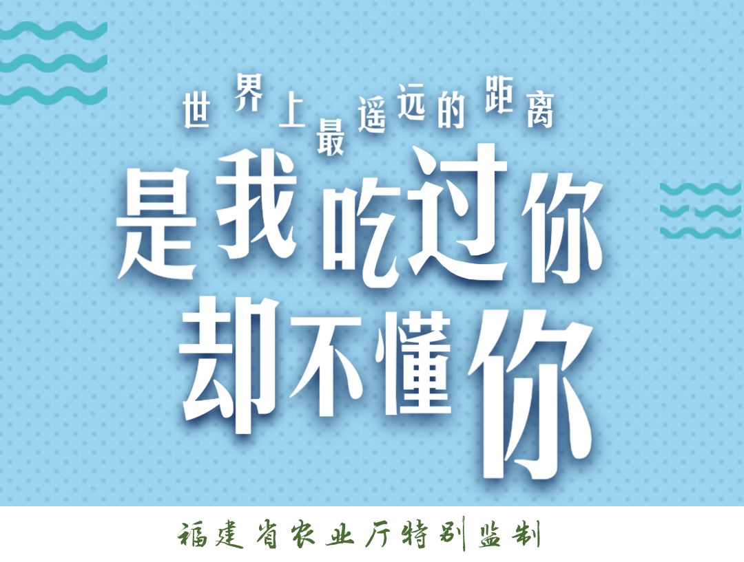 每个男人背后都会有一个小宝贝,每个男人都有自己的软肋