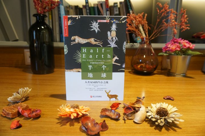 有关人类社会发展史的书籍,人类社会进化书