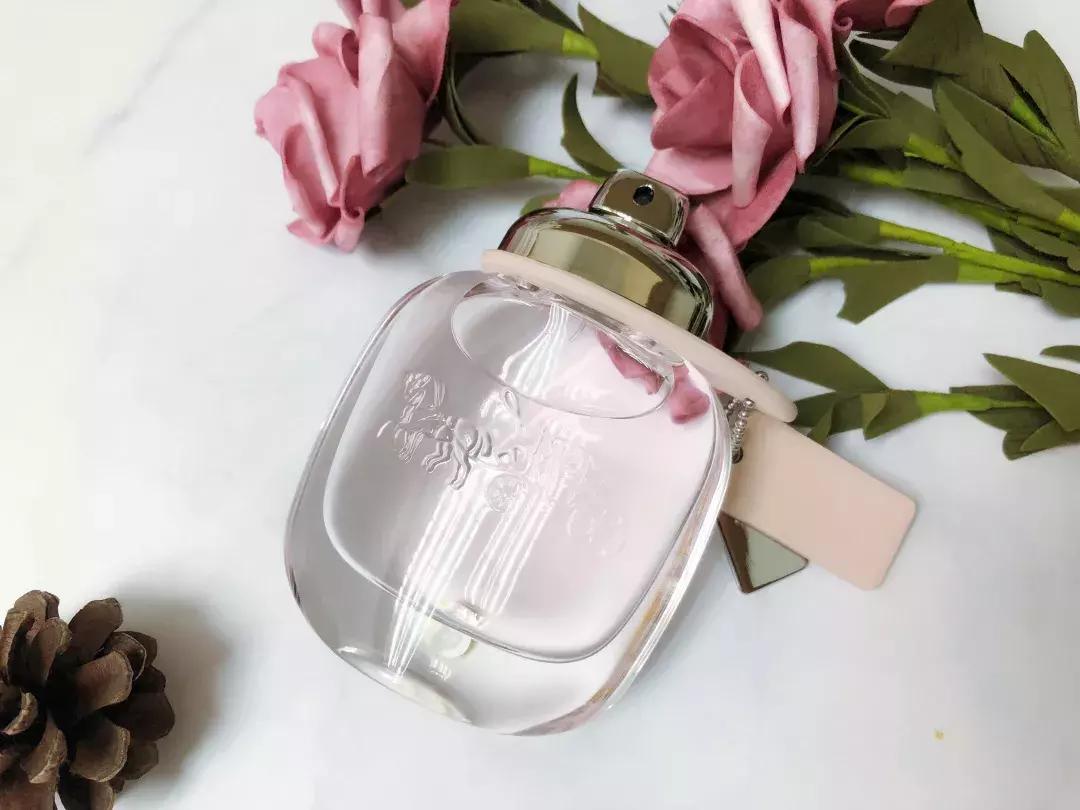 新加坡这家店怎么可以这样对待会员?宠炸天