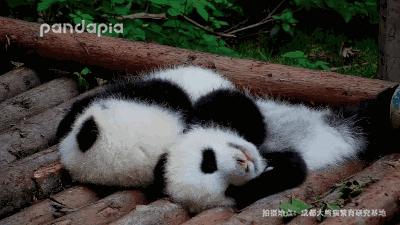 亲测滚床单利器，亲肤透气、吸汗快干，绝不添加荧光剂