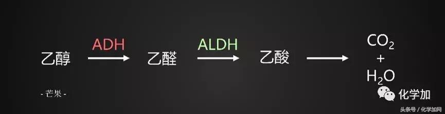 喝酒后皮肤变红逐渐变白是啥,喝酒后脸色会变白什么原因
