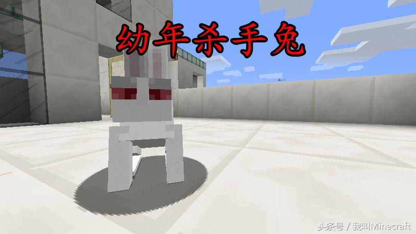 我的世界隐藏兔子,我的世界兔子的秘密