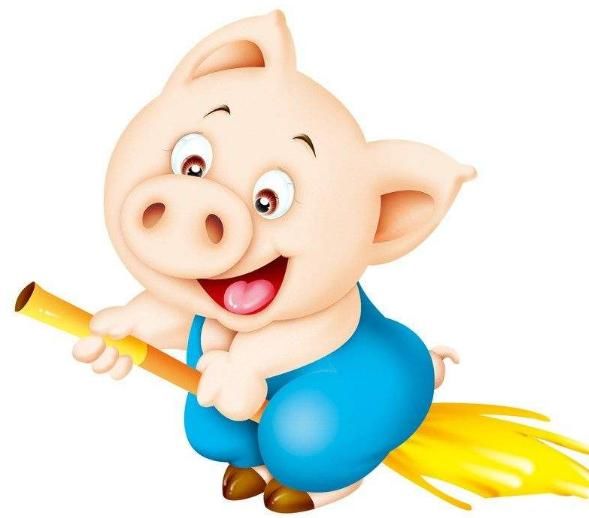 鸡年出生时辰哪个时辰好,人出生的时辰和死的时辰