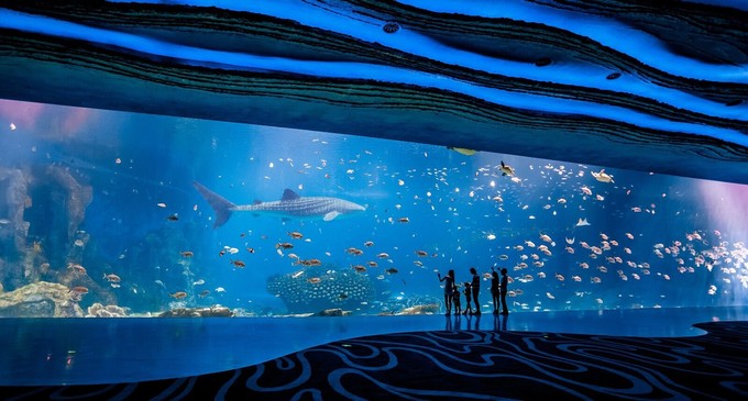 珠海长隆度假区一天旅游攻略,珠海横琴长隆旅游景点大全