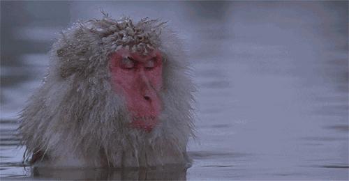 广东罕见纯天然露天温泉,广东珍稀温泉图片