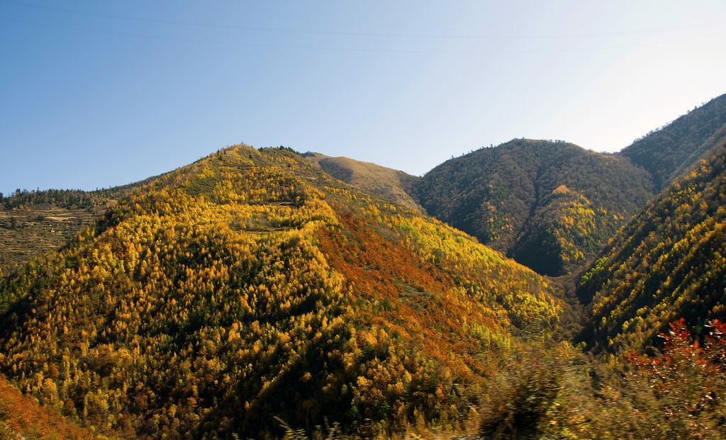 甘南秋天,甘南州的秋天