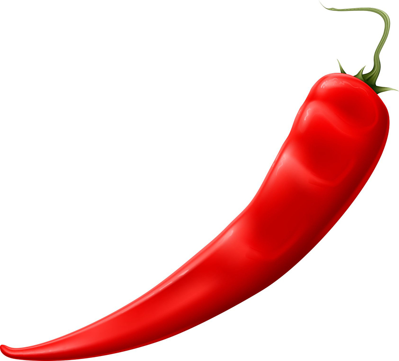 什么食物能滋补体阳,有哪些食物可滋阴