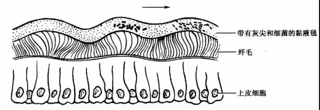 抠出来的鼻屎不要丢，隔壁家的小孩都馋哭了