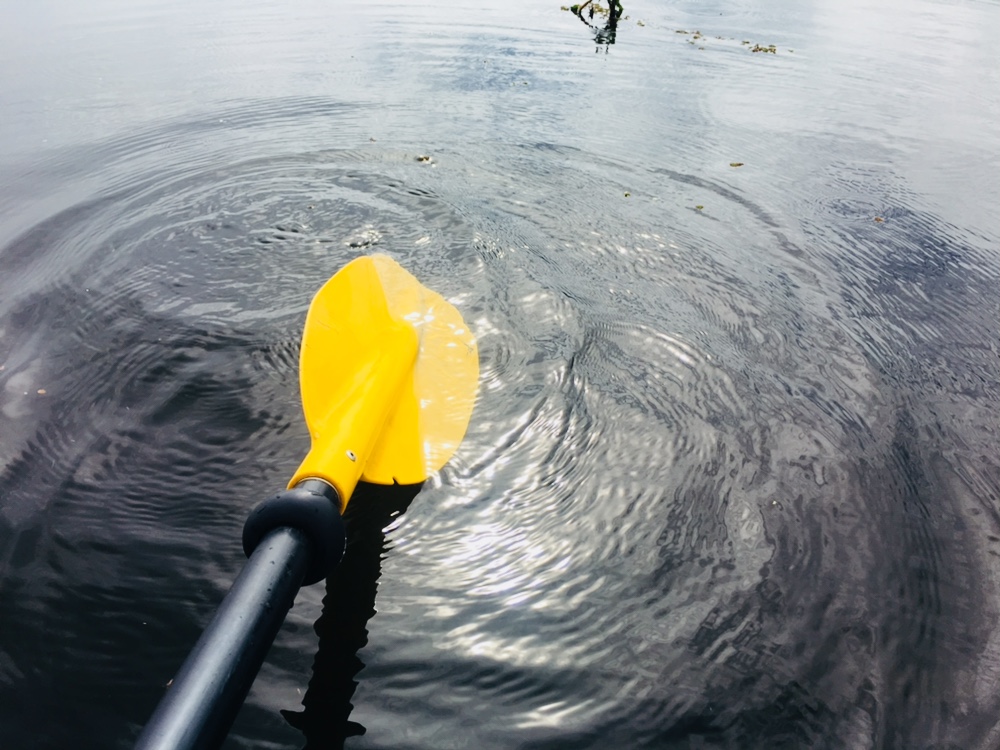 丽江旅游拉市海攻略,丽江拉市海怎么样值得旅游吗
