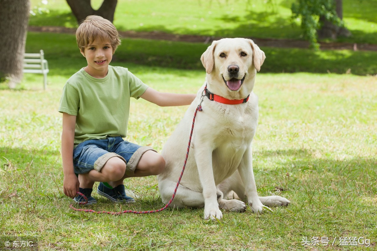 bu~谷，哇哦，什么声音？好刺耳啊……