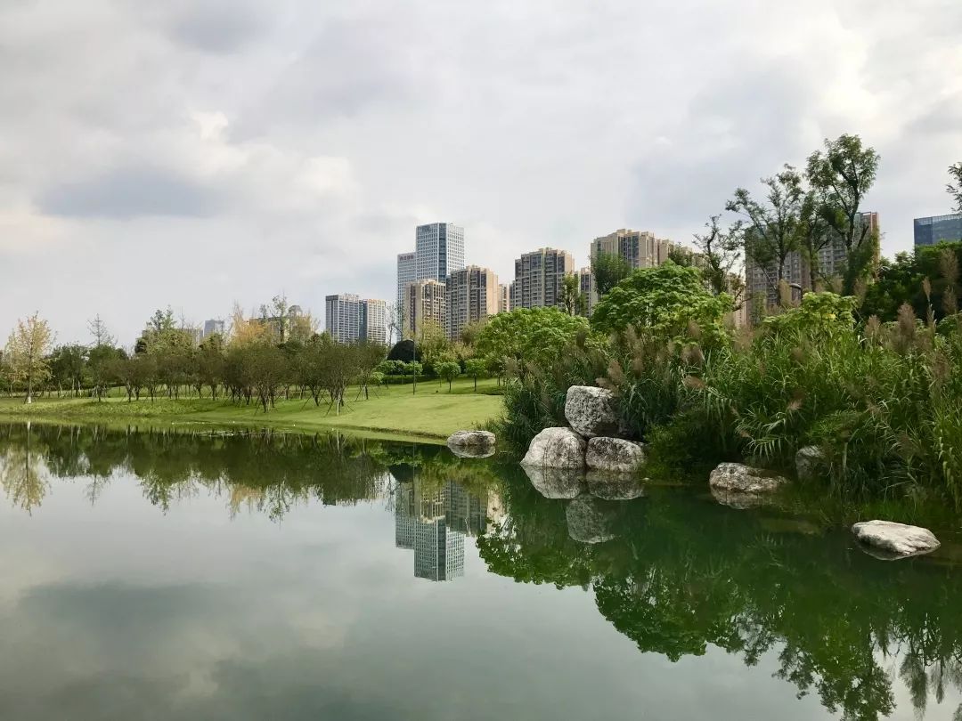 绿·道——天府绿道采风写生作品展巡展亮相锦城湖，小朋友们写生忙