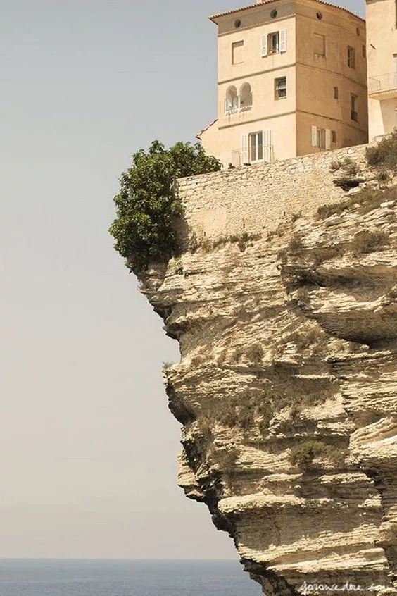 珍藏珍贵图片,极其罕见珍贵的绝版照片