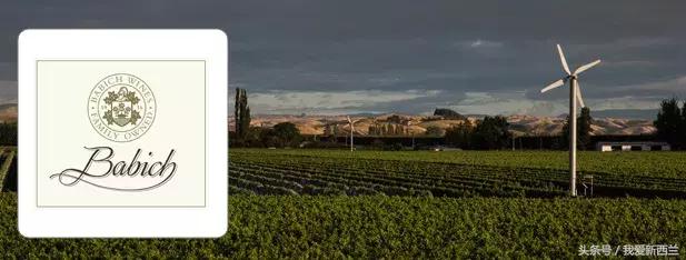 来新西兰以后才发现的变化,新西兰是不是最美丽的地方