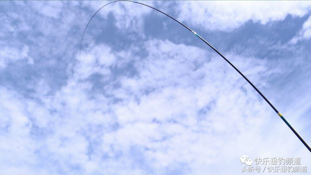 钓鱼100个专业术语,钓鱼的术语有哪些