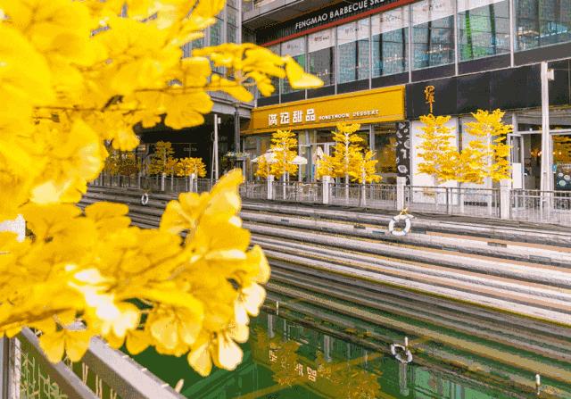 1元买遍网红下午茶,2000杯奶茶免费喝,100购250,更有火遍抖音的泡泡秀,嗨skr国庆!