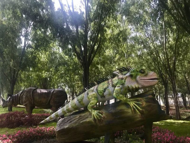 全城通告最新信息,全城通告在线播放