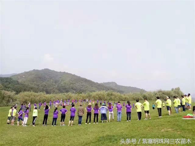 北京龙庆峡民宿,北京龙庆峡民宿第一名