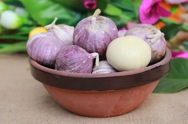 祁连山下的小城旅游攻略,祁连山下的最美小城