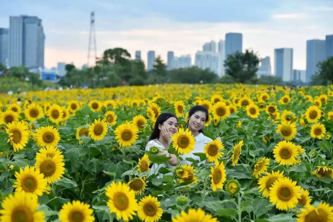 广西蚂蚁咬人事件,广西有种蚂蚁被咬全身痒