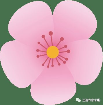 畸形子宫怀孕,t型子宫畸形能怀孕吗