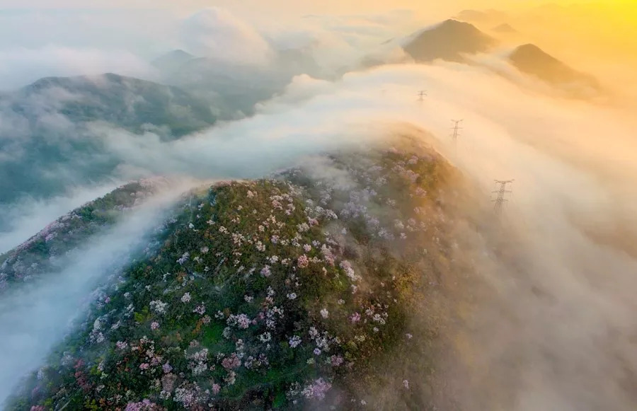 婀栧寳鍑嗗寤哄叏鍥芥渶澶х殑鍐涚敤鏈哄満,婀栧寳鏈哄満瑙勫垝2015-2030