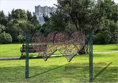 鍞愬北涓冨ぉ鐩涗細鏃堕棿,鍞愬北鍗佷竴娲诲姩