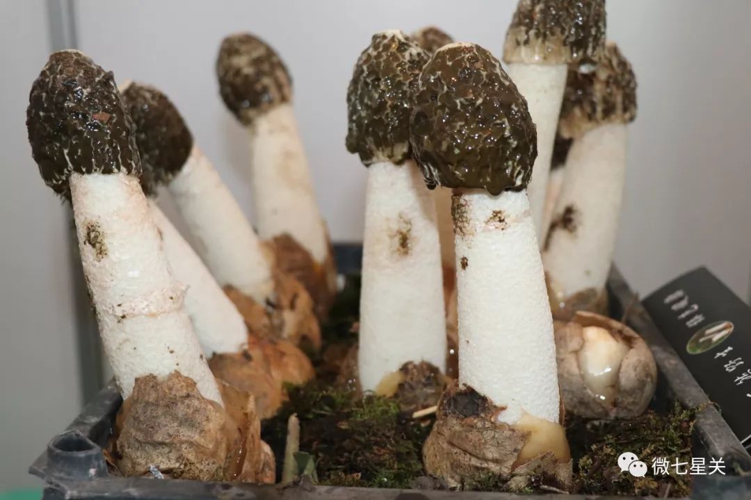 毕节必买的十大特产,毕节特产小吃美食推荐