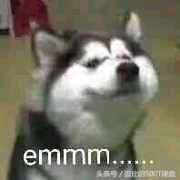 刺激战场里有什么可用的小技巧呢,刺激战场中几个最实用而简单的bug