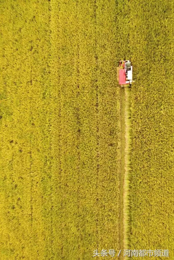 什么是中国,什么是中国特色社会主义