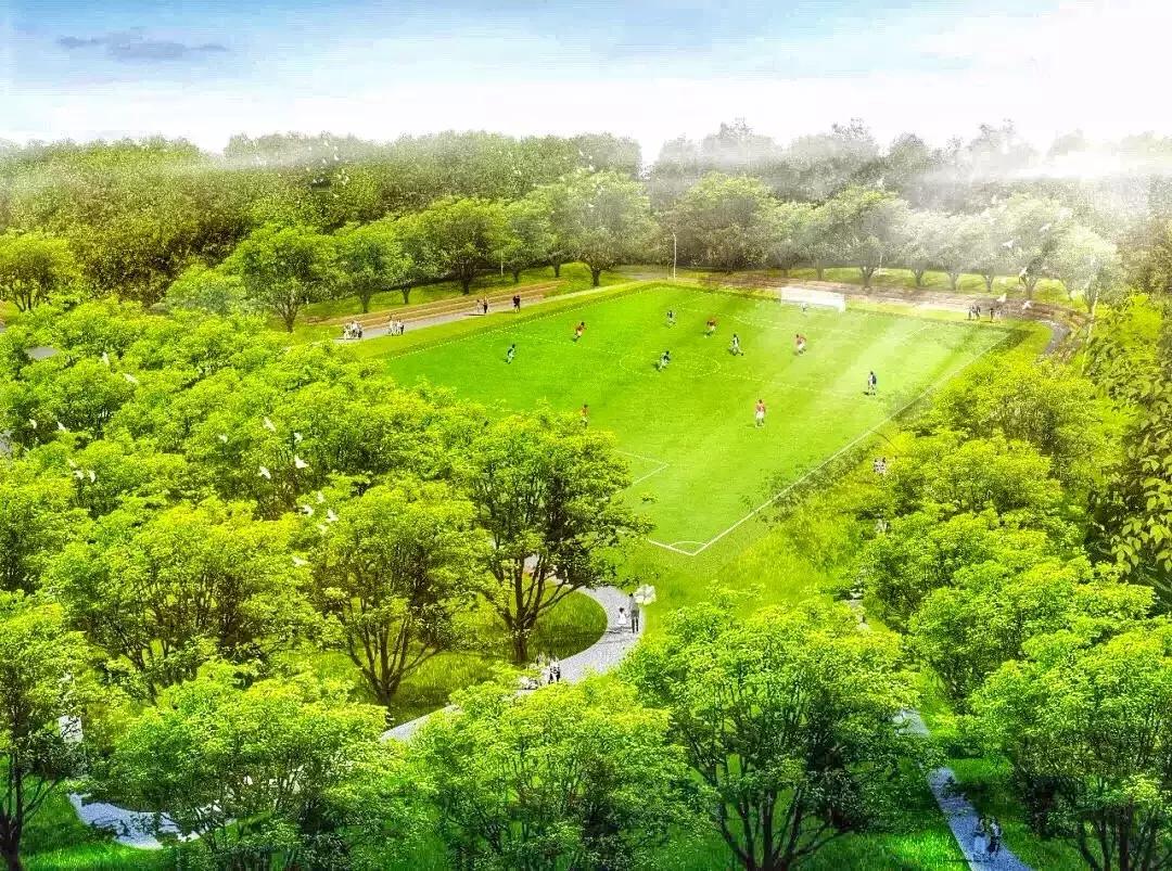 郑州足球小镇有真草足球场吗,郑州足球小镇现状