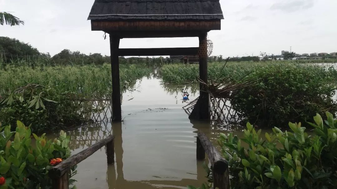 台风后复工复产工作方案,东莞麻涌复工复产进度