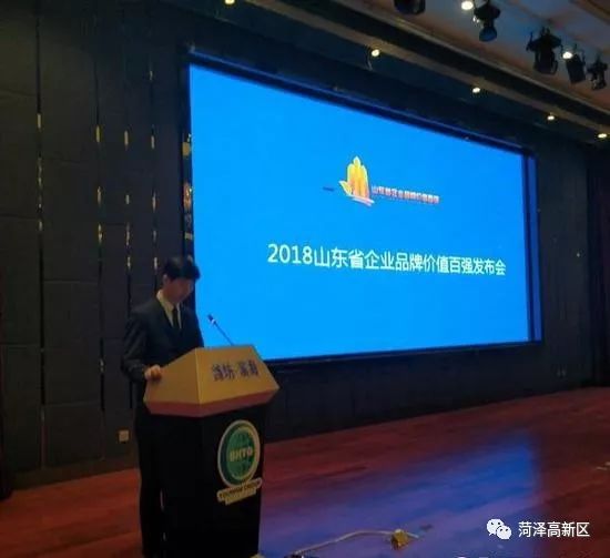 山东步长制药有限公司怎么样,山东步长制药地位