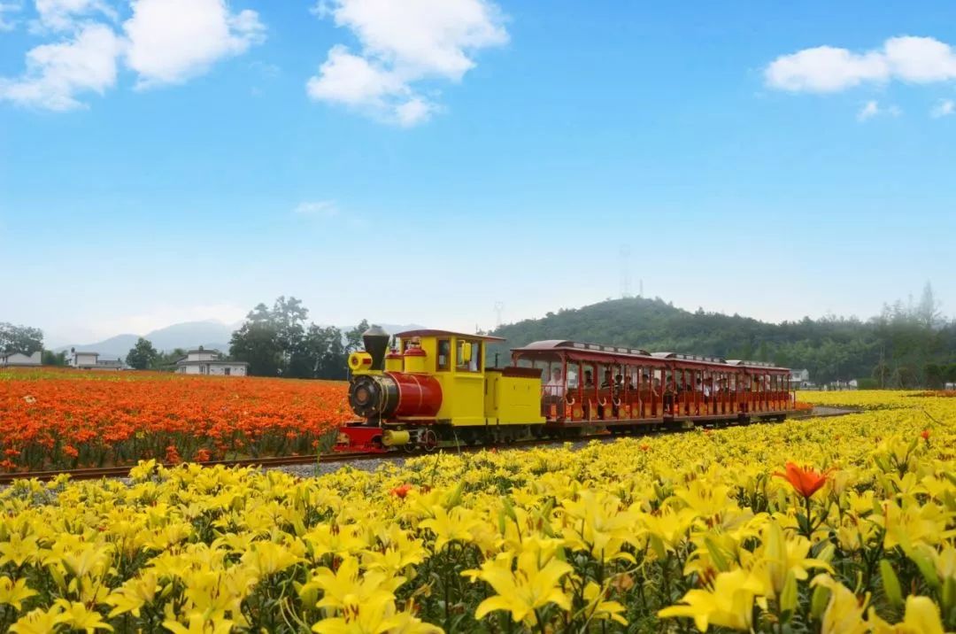 日照花仙子风景区现在能去吗,日照花仙子旅游景区2024年开放吗