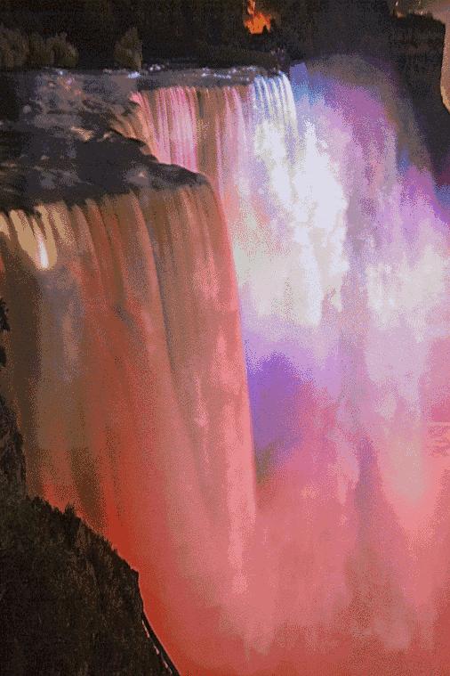 会动的美丽的图片,会动的照片绝美