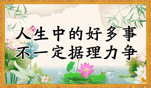 会动的美丽的图片,会动的照片绝美