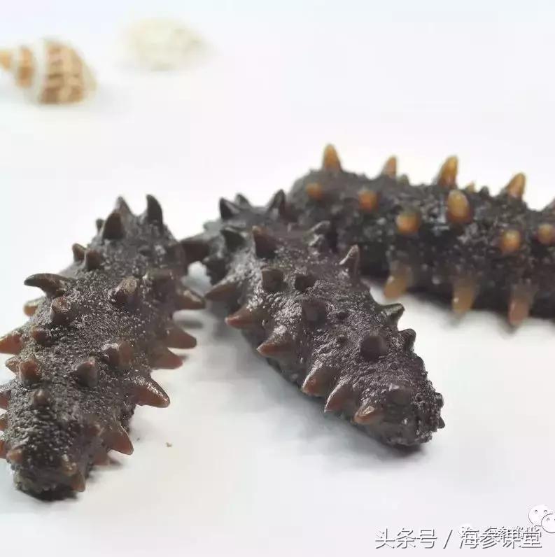 泡发海参飘起来,泡发海参为什么要用矿泉水纯净水