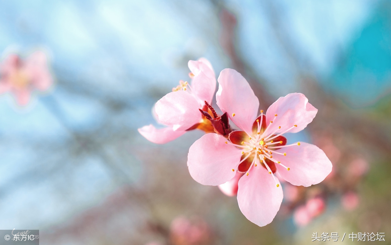 绉嬮娓╂煍娓呮柊,绉嬮娓呭喎