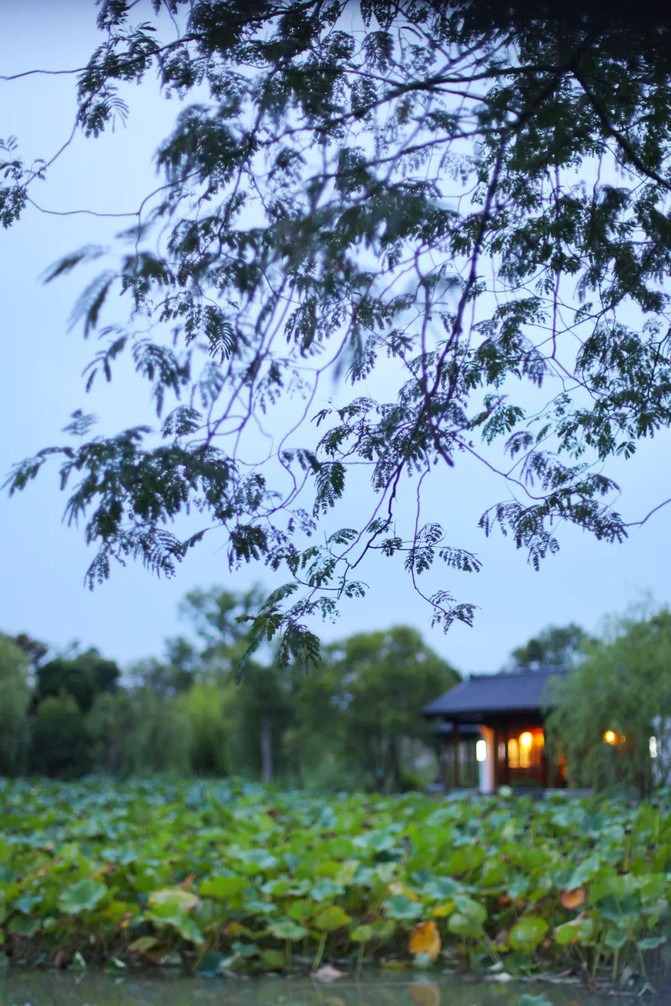 江南旅游注意事项及出行指南,旅游江南水乡