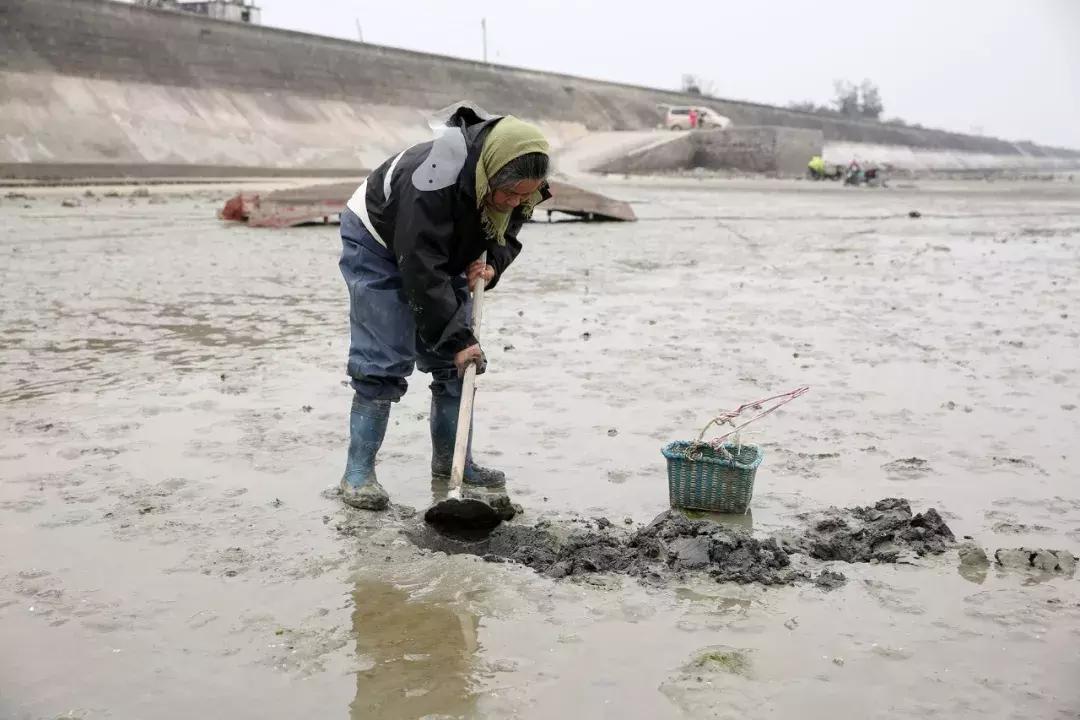14种好吃的零食,中国最受欢迎十种小吃