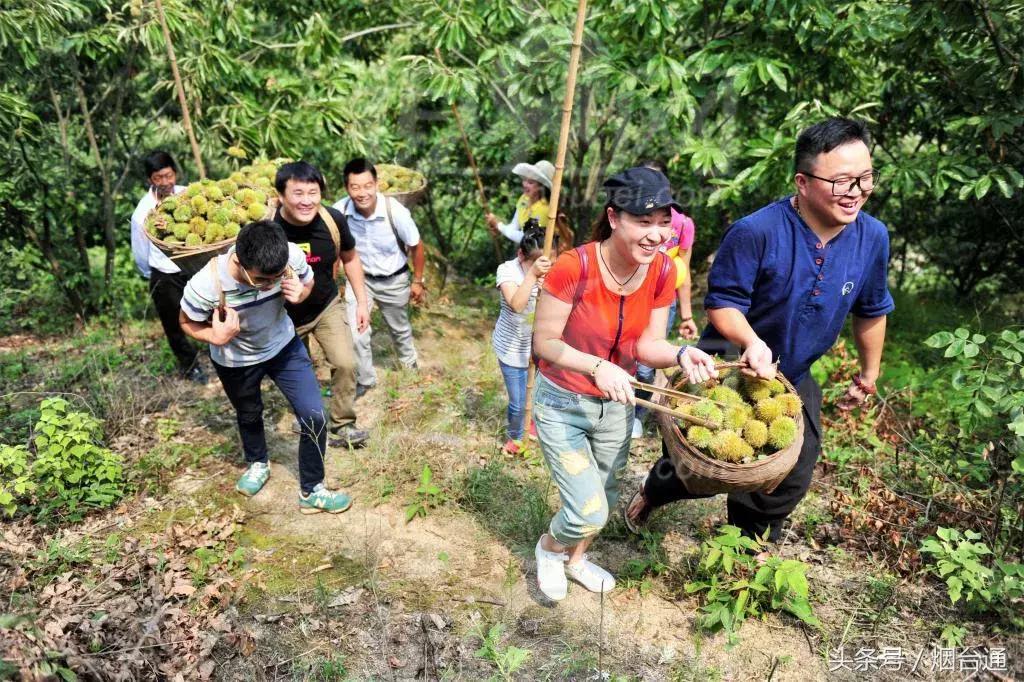烟台十一景区免费游玩,十一假期旅游推荐烟台游乐场